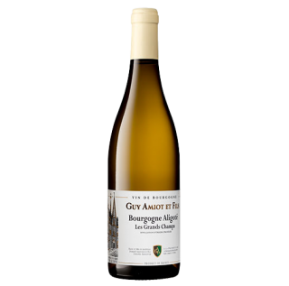 Domaine Guy Amiot & Fils Bourgogne Aligote 2020 (750ml)