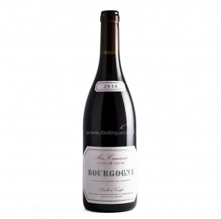 Meo Camuzet Bourgogne Rouge 2019 (750ml)