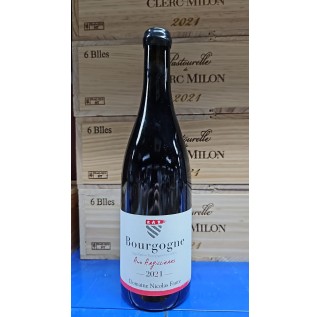 Domaine Nicolas Faure Bourgogne Aux Argillieres 2021 (750ml)