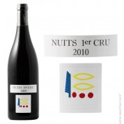 Domaine Prieure Roch Nuits Saint Georges 1er Cru 2019 (750ml)