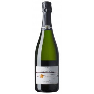 Champagne Francoise Bedel L'Ame de la Terre Extra Brut Millesime 2008 (750ml)
