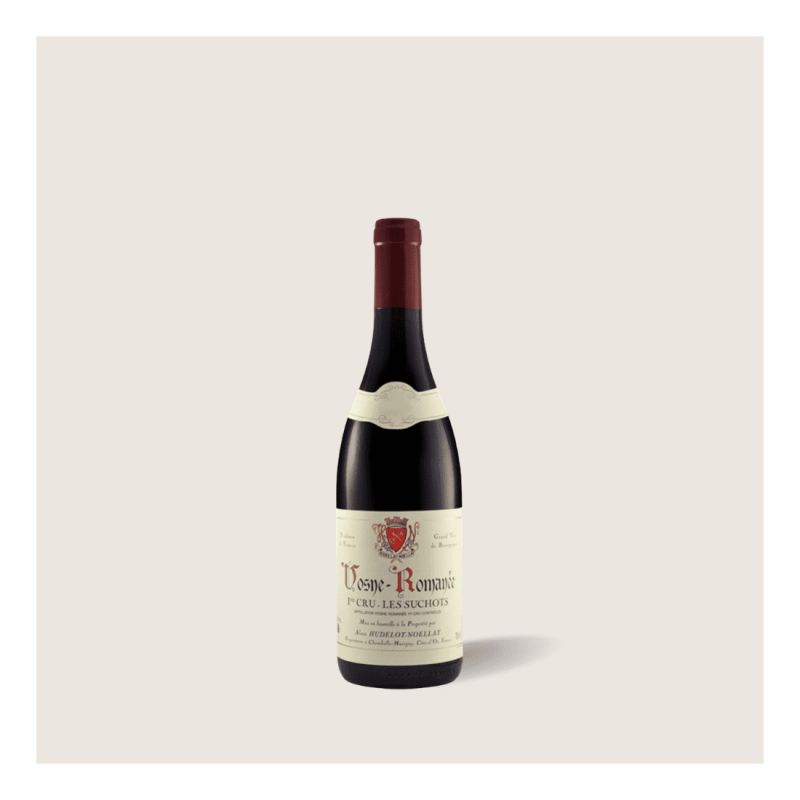 Domaine Alain Hudelot Noellat Vosne Romanee 2010 (750ml)