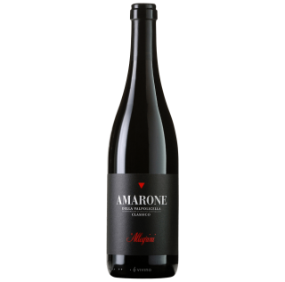 Allegrini Amarone della Valpolicella Classico 2020 (750ml)