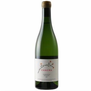 Bodega Chacra Patagonia Chardonnay 2020 (750ml)
