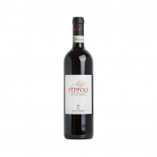 Marchesi Antinori Peppoli Chianti Classico DOCG 2024 (750ml)
