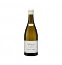  Etienne Sauzet Bourgogne Blanc 2023 (750ml)