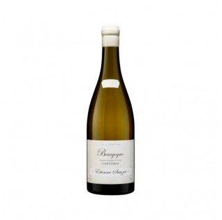 Etienne Sauzet Bourgogne Blanc 2023 (750ml)