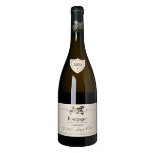 Philippe Chavy Bourgogne Blanc 2022 (750ml)