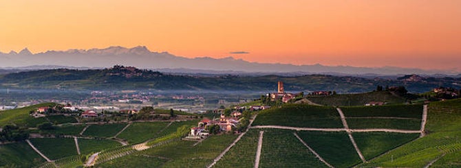 Beyond Barolo: Nebbiolo's New Faces